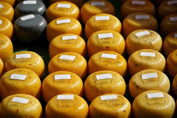 quejos ponto ideal hp