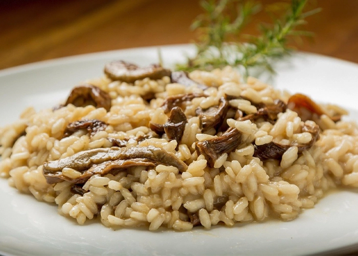 risotto fabrica hp